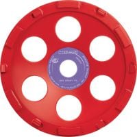 Disc diamantat SPX de șlefuit, pentru materiale epoxidice (pentru DG/DGH 150) Disc diamantat de șlefuit, cu performanțe excelente, pentru polizorul diamantat DG/DGH 150 – pentru îndepărtarea straturilor groase, cum ar fi cele din rășină epoxidică