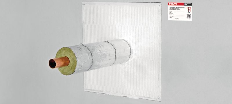 Vopsea antifoc CFS-CT Sistem de plăci acoperite cu vopsea antifoc, cu o gamă largă de aprobări, pentru etanșarea deschiderilor de dimensiuni medii și mari Aplicații 1